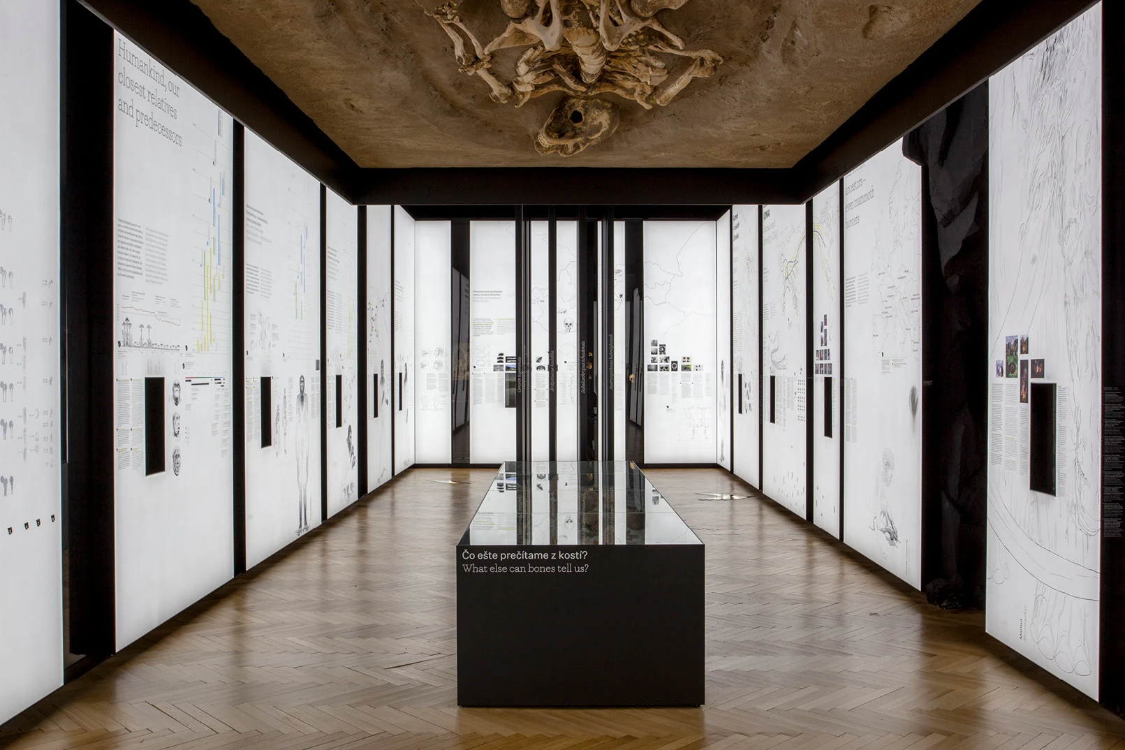 Človek v čase a priestore